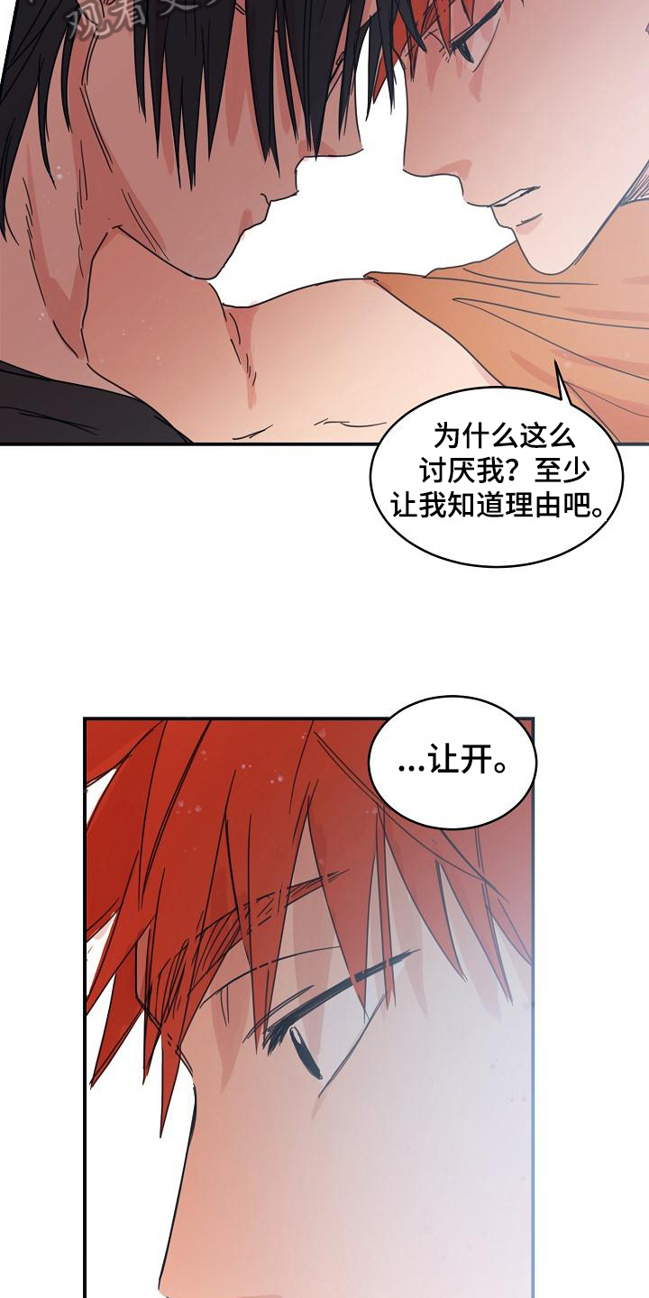 第14章：躲开太阳的办法：喜欢5