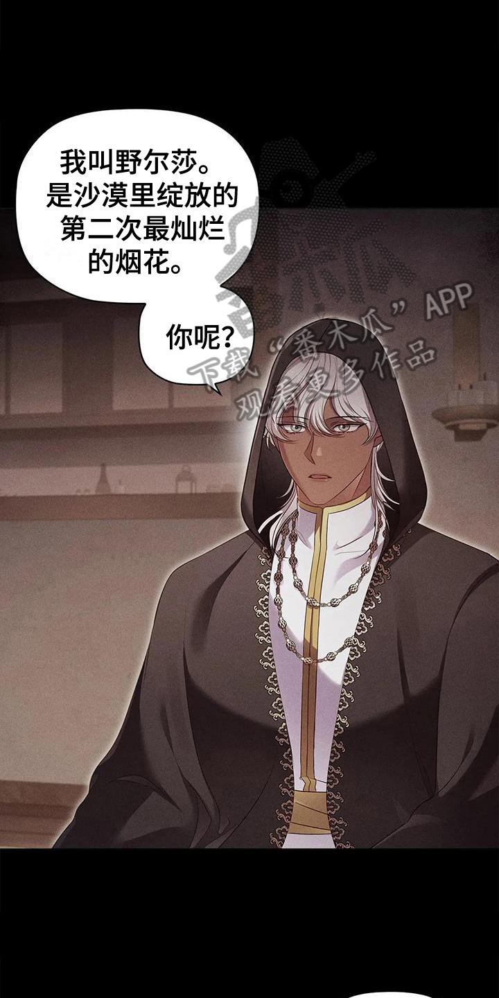 第48章：决心7