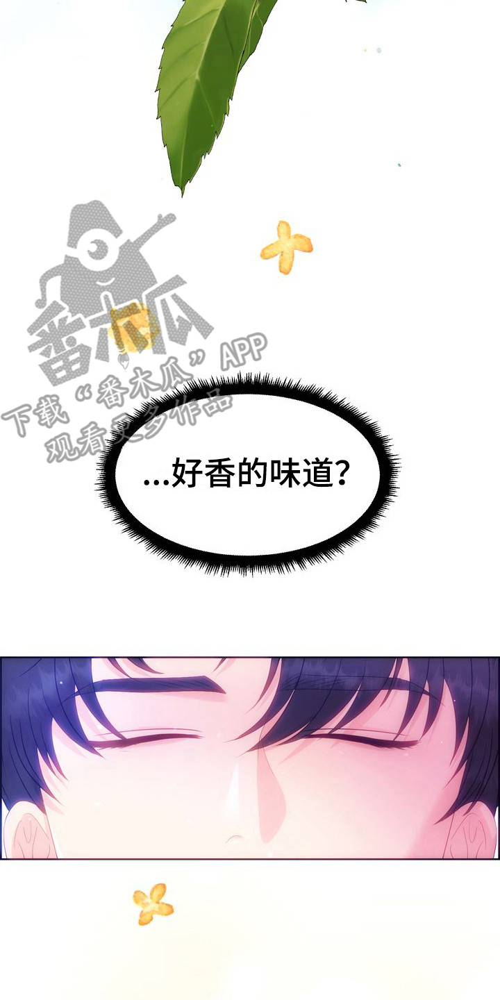 第26章：借口 1