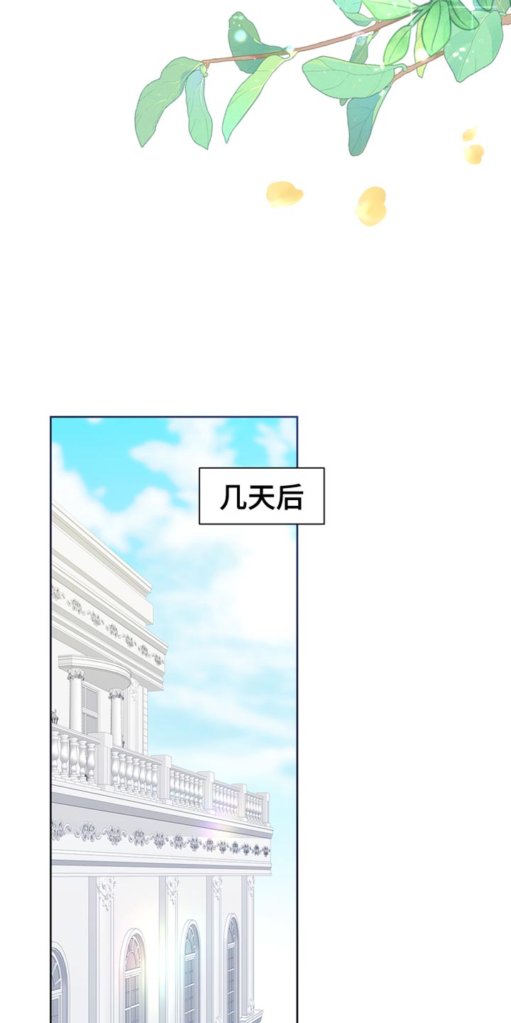 第49章：一个愿望5