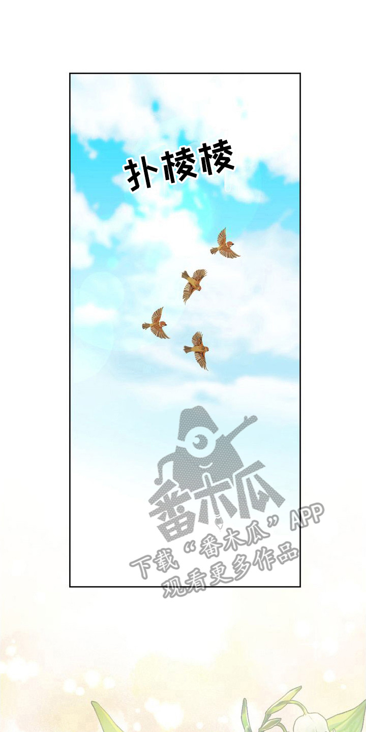 第21章：注视着19