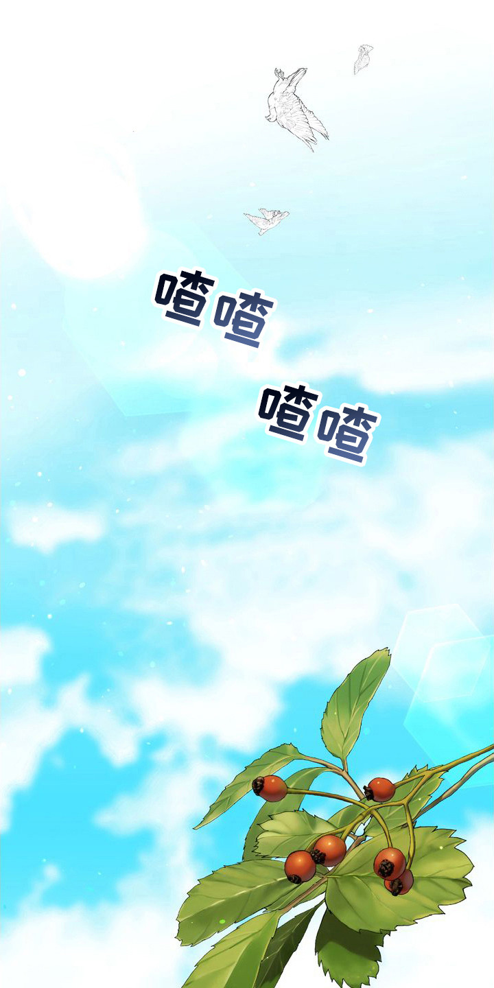 第26章：借口 0