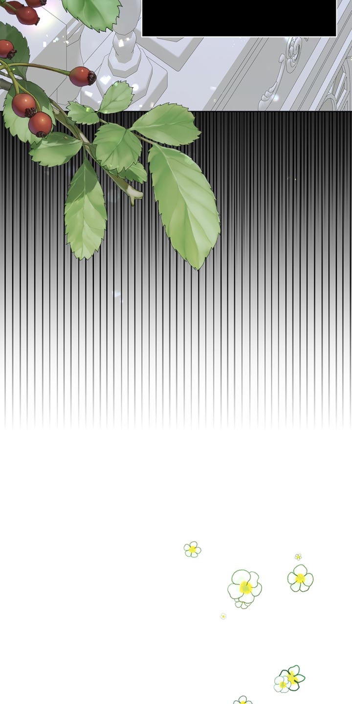 第44章：多余的话7