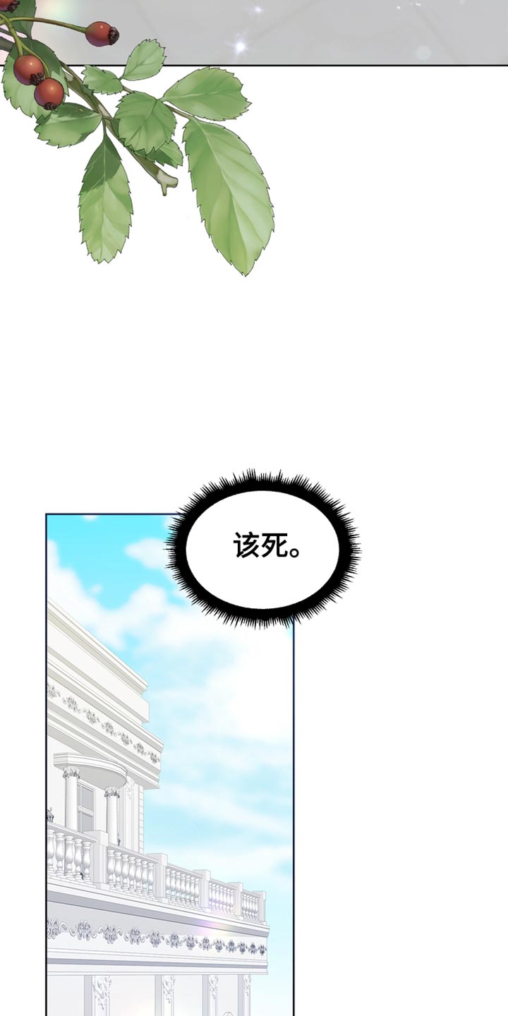 第44章：多余的话12