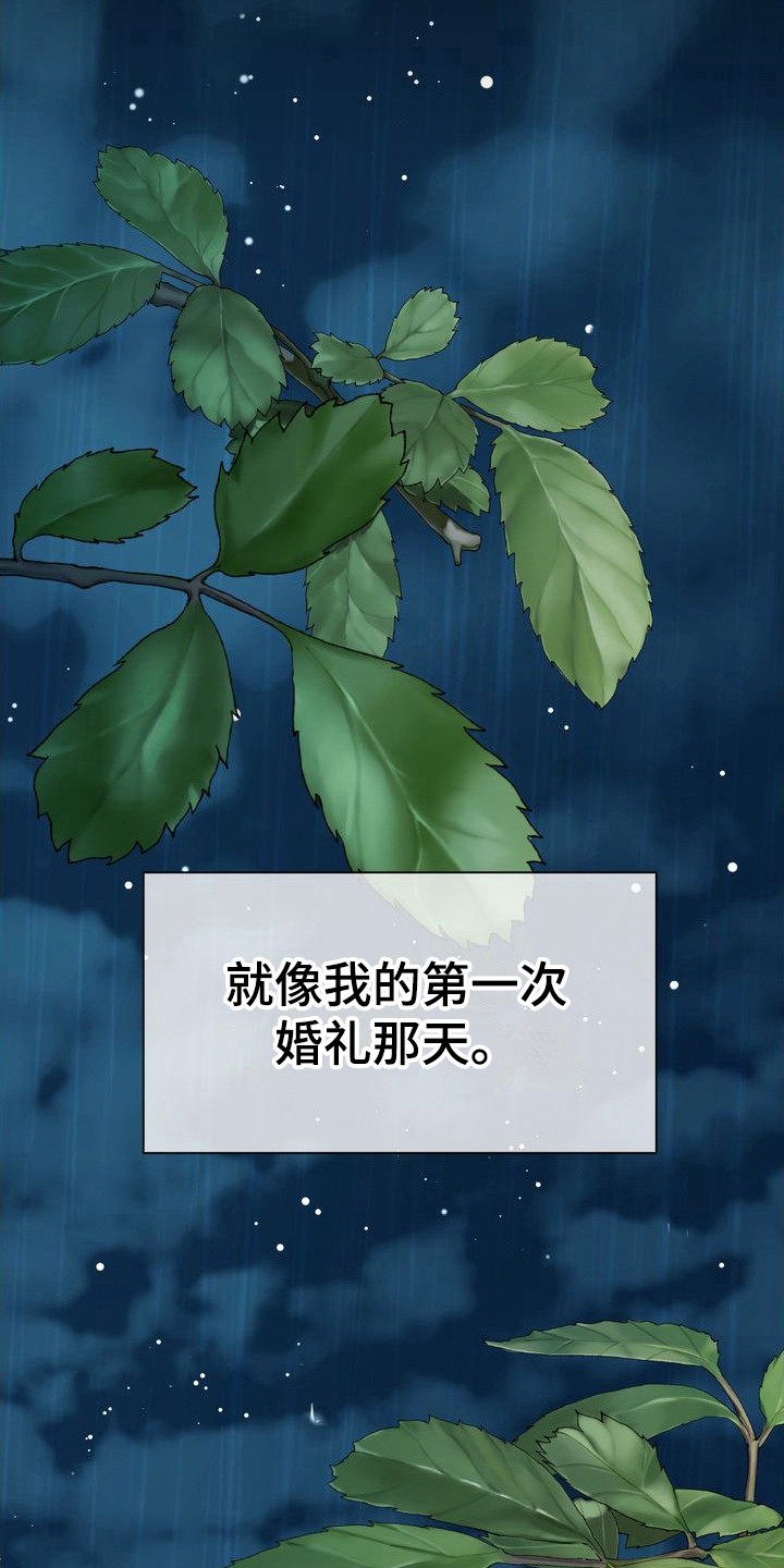 第1章：到此为止吧22