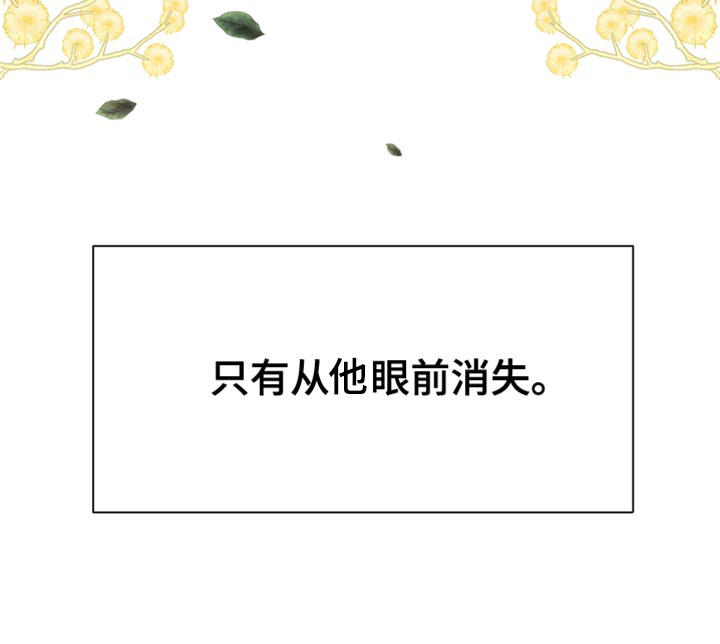 第45章：从他眼前消失48