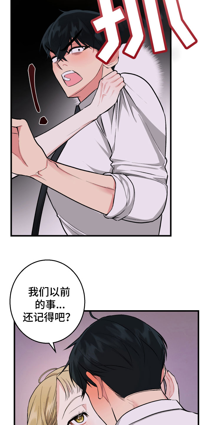 第4章：计谋17