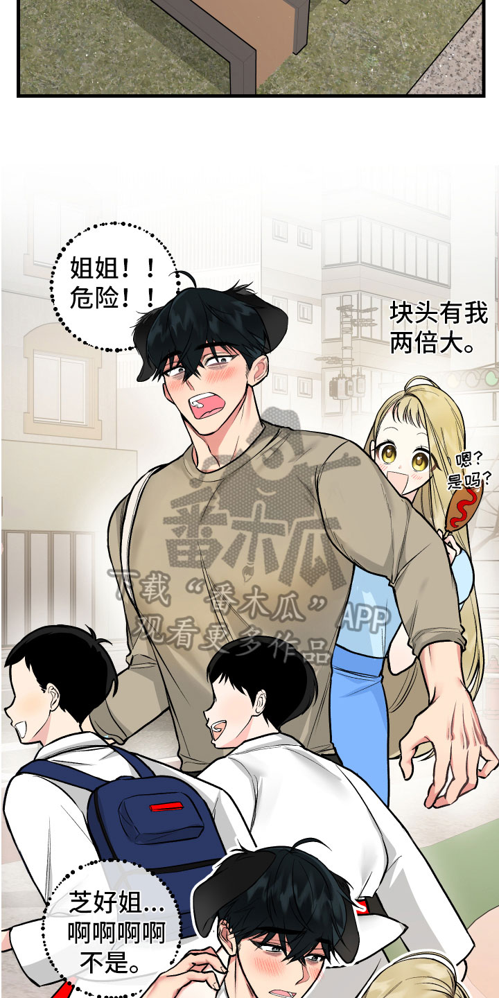第5章：困境17