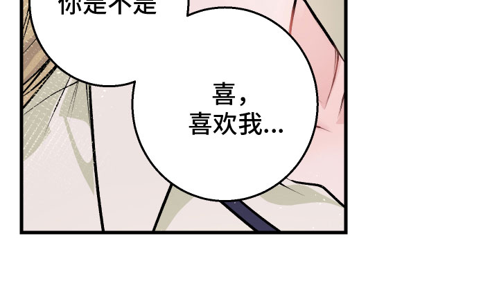第8章：解释20