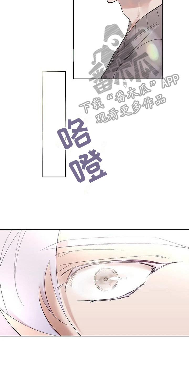 第13章：灵感来源（完结）14
