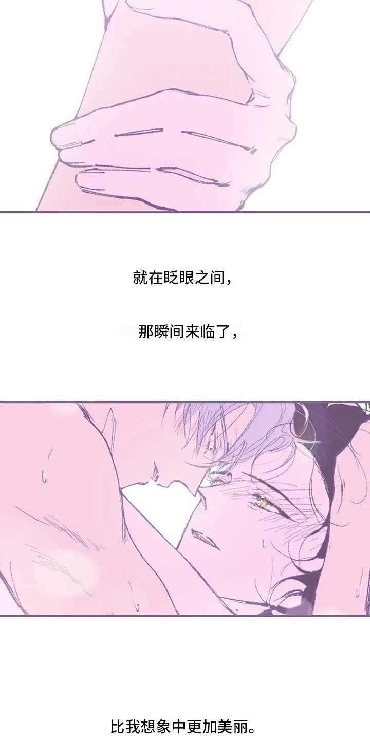 第11章：很美丽 6