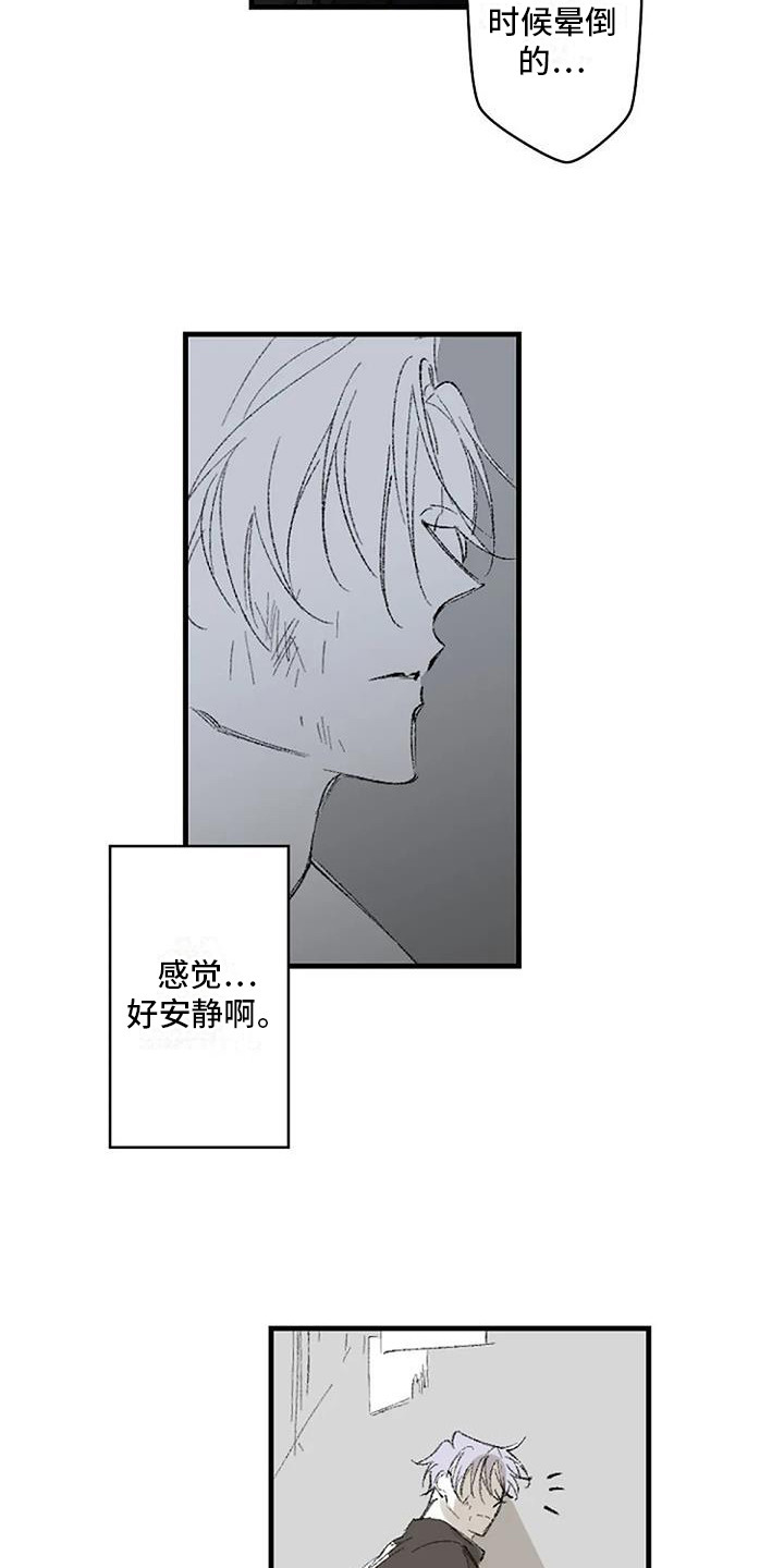 第2章：晕倒12
