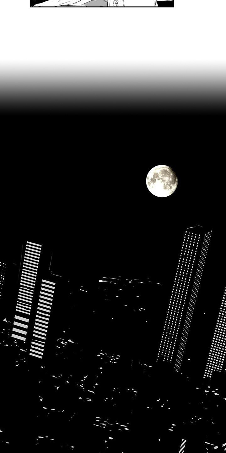 第1章：日复一日13