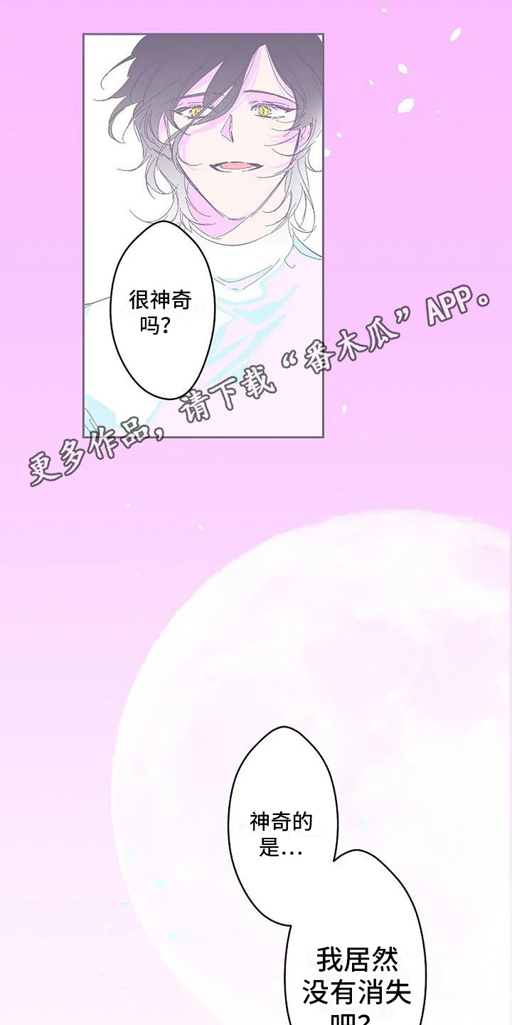 第4章：很神奇9