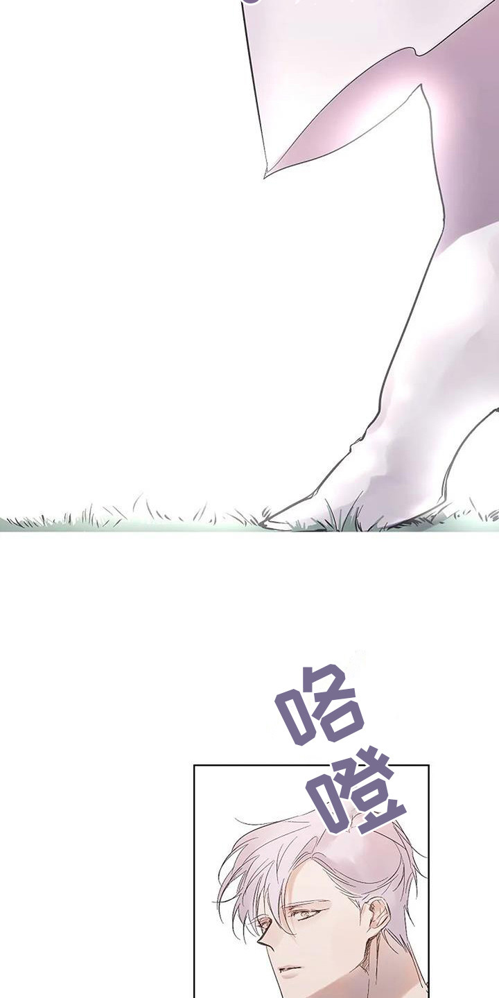 第13章：灵感来源（完结）13