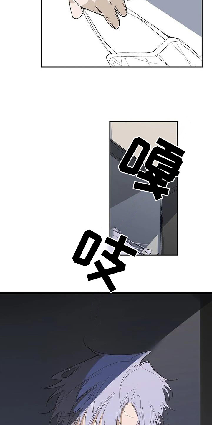 第1章：日复一日10