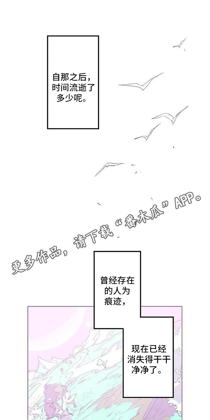 第11章：很美丽 10