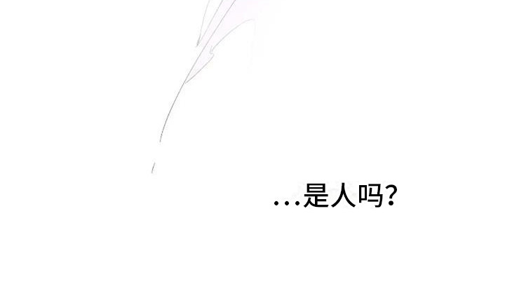 第3章：白衣人19