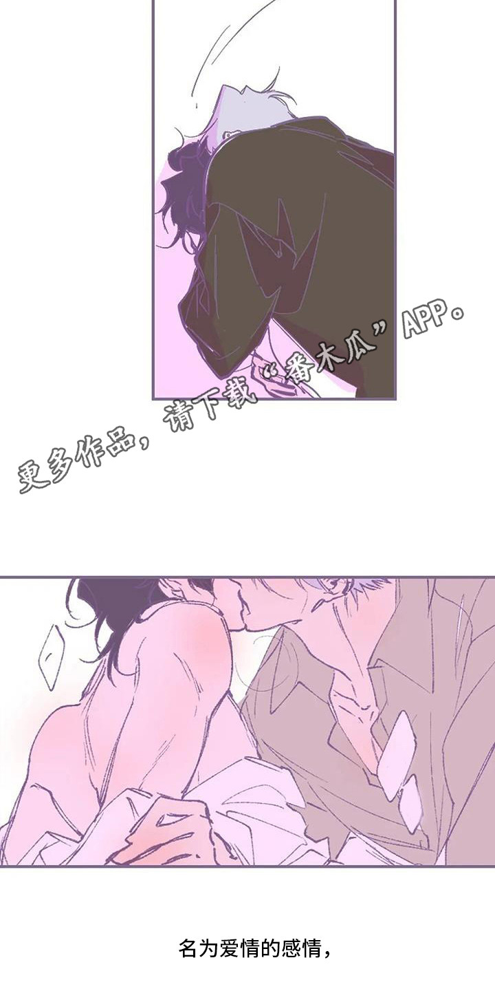 第11章：很美丽 4
