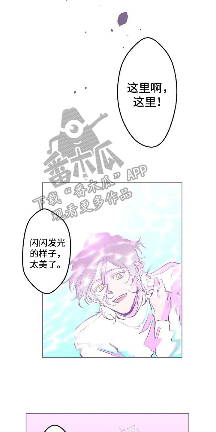 第11章：很美丽 13