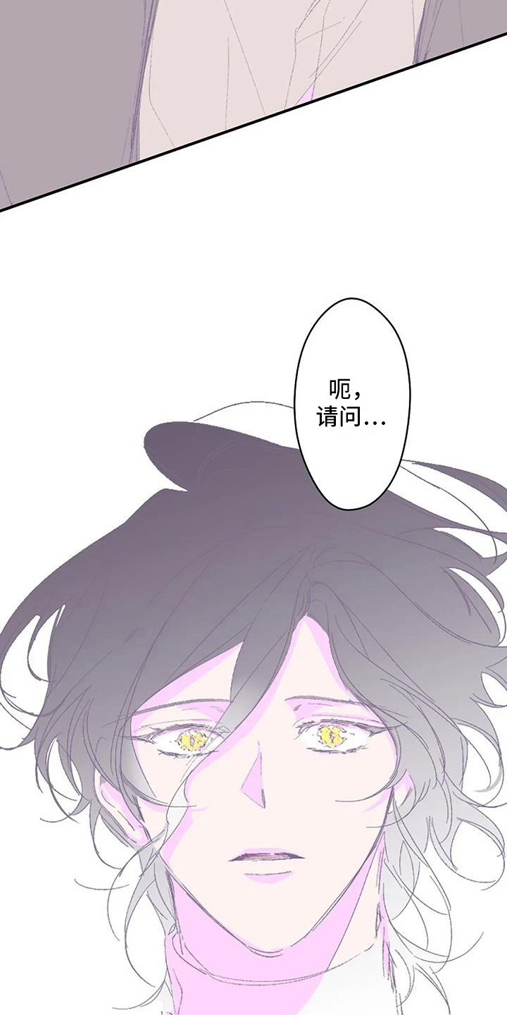第3章：白衣人13