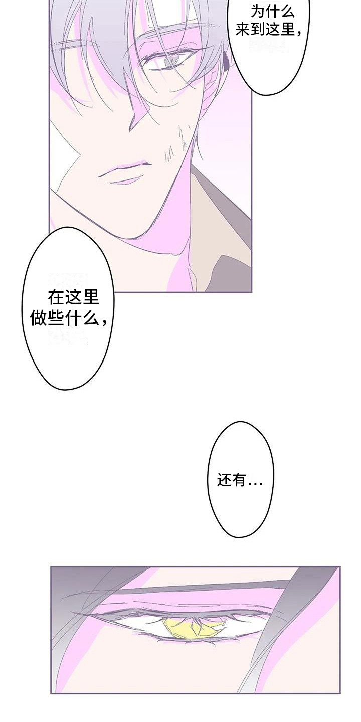 第4章：很神奇5