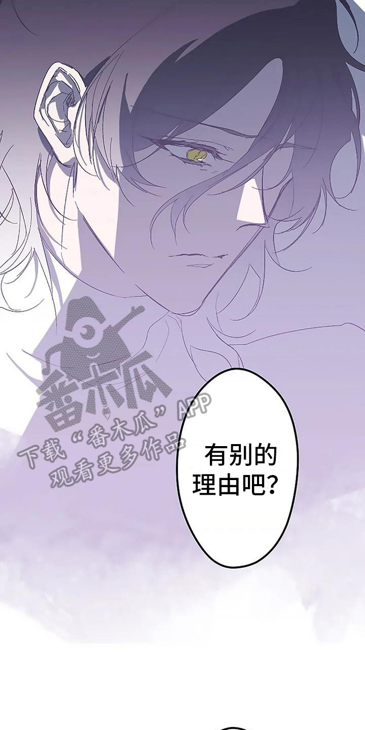 第8章：无法触碰13