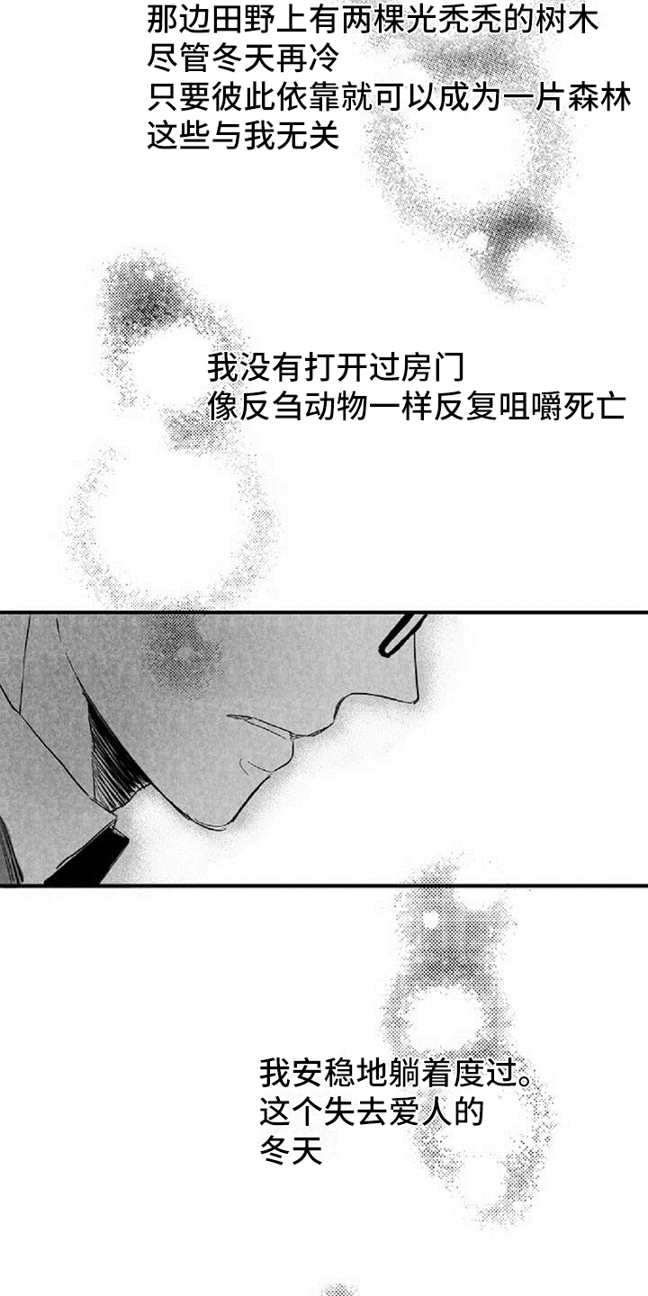 第38章：安慰（完结）13
