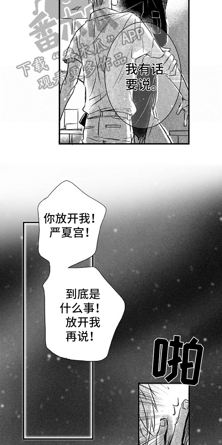 第24章：逼问10