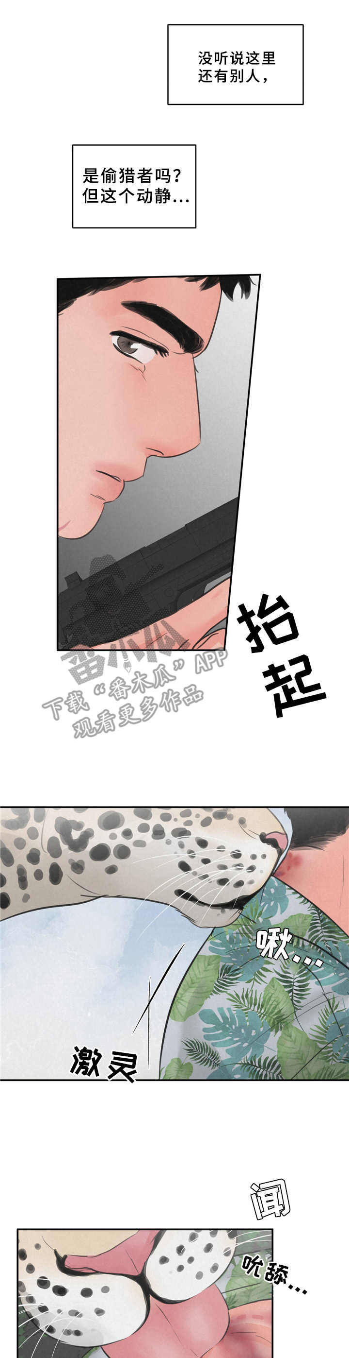 第8章：花豹7