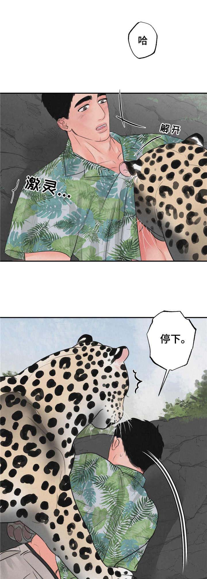 第9章：磨蹭3