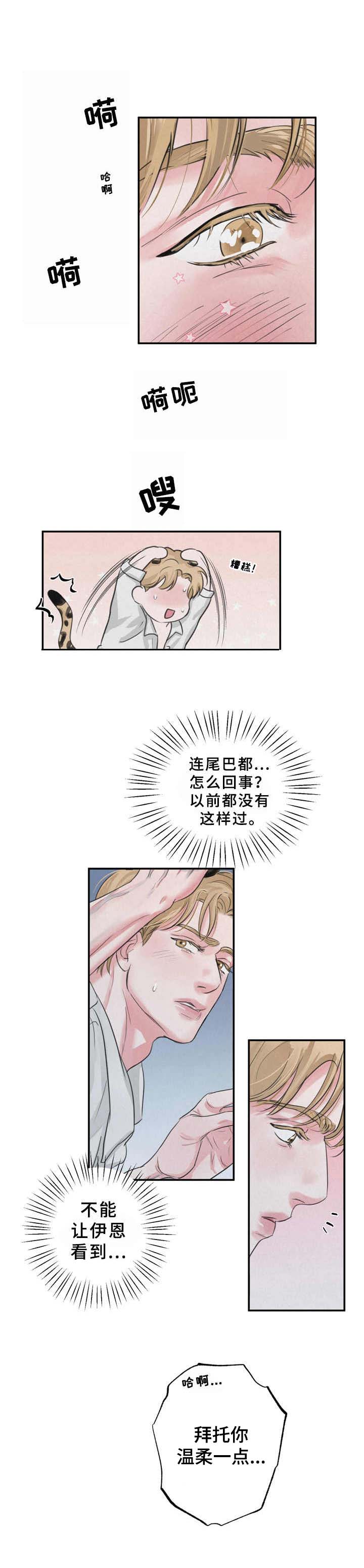 第6章：心情变好5