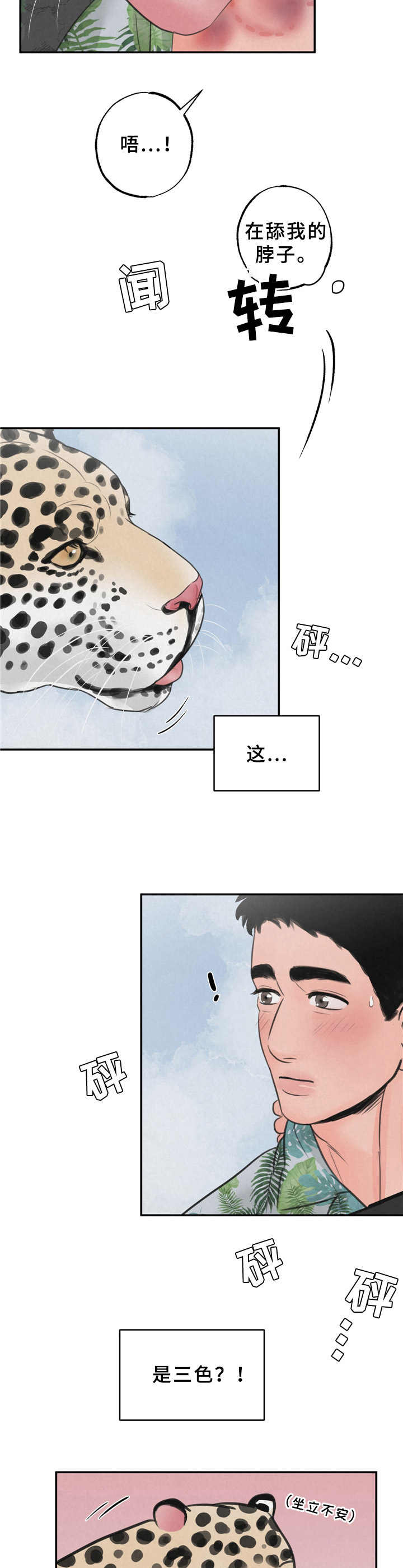 第8章：花豹8