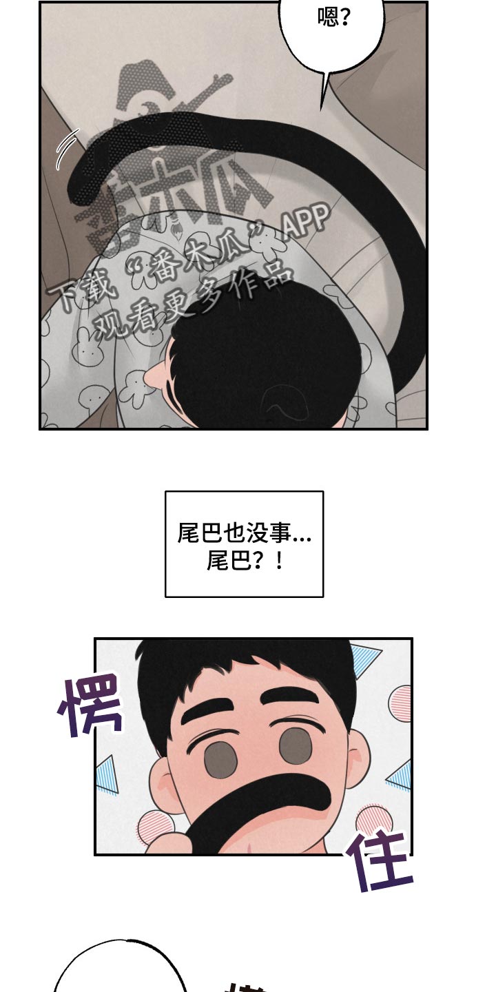 第15章：【第二季】天使8