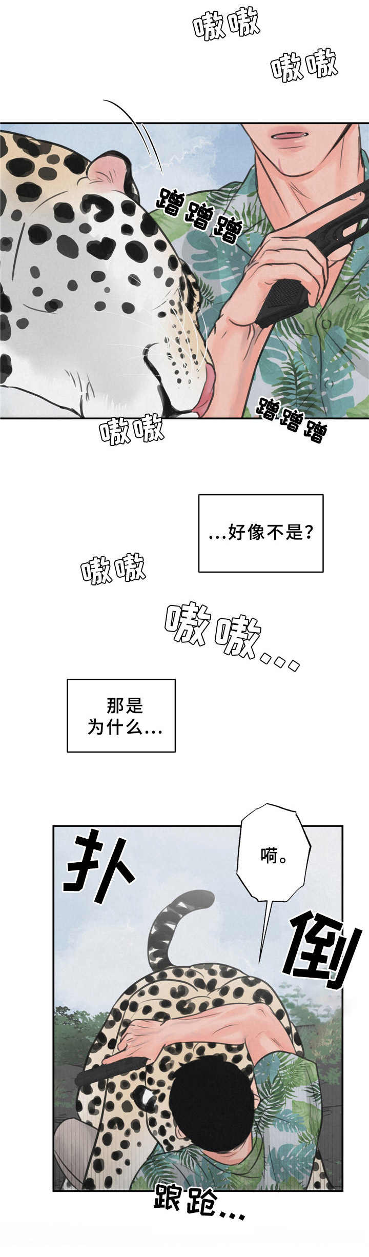 第8章：花豹10