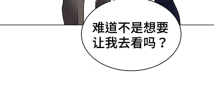 第20章：猜测16