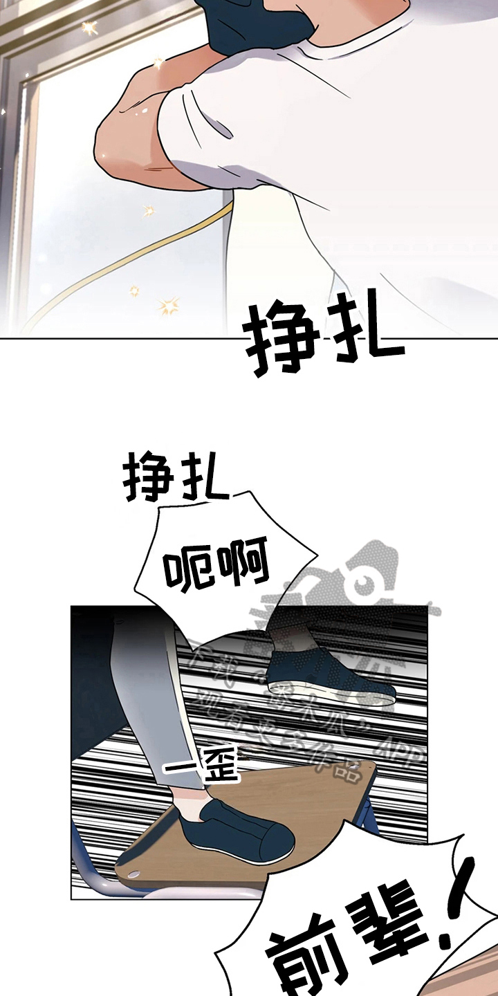 第17章：意外18