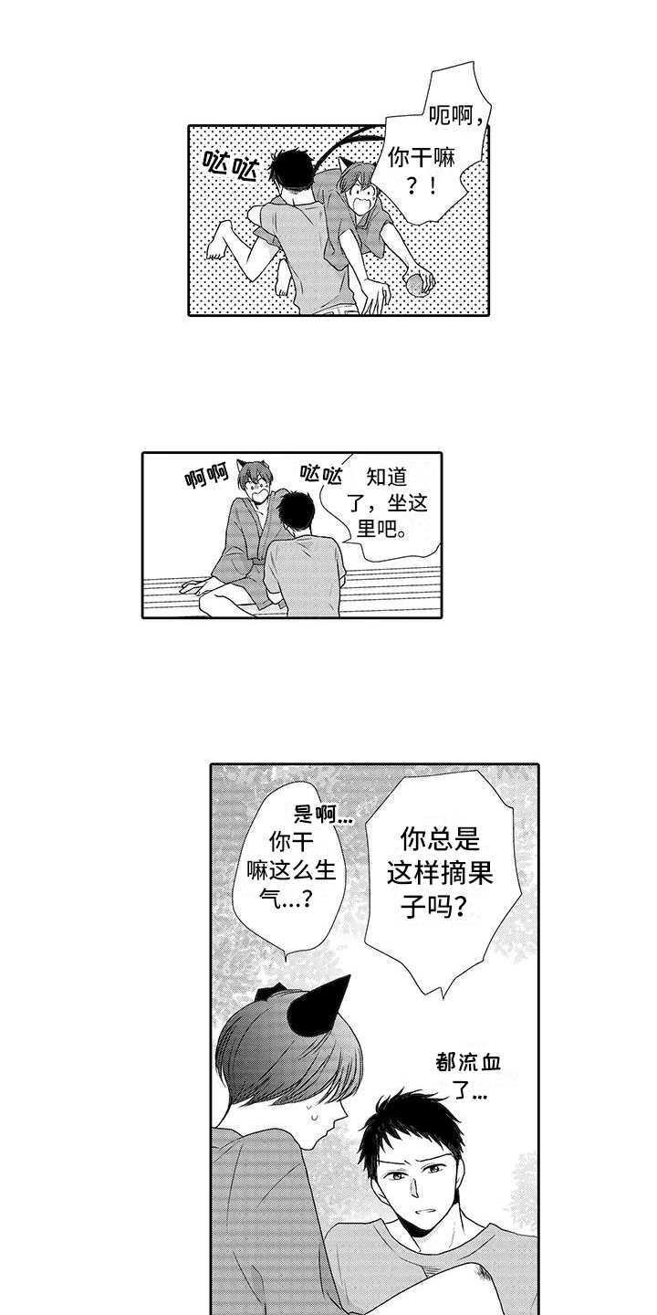 第3章：摘果子11
