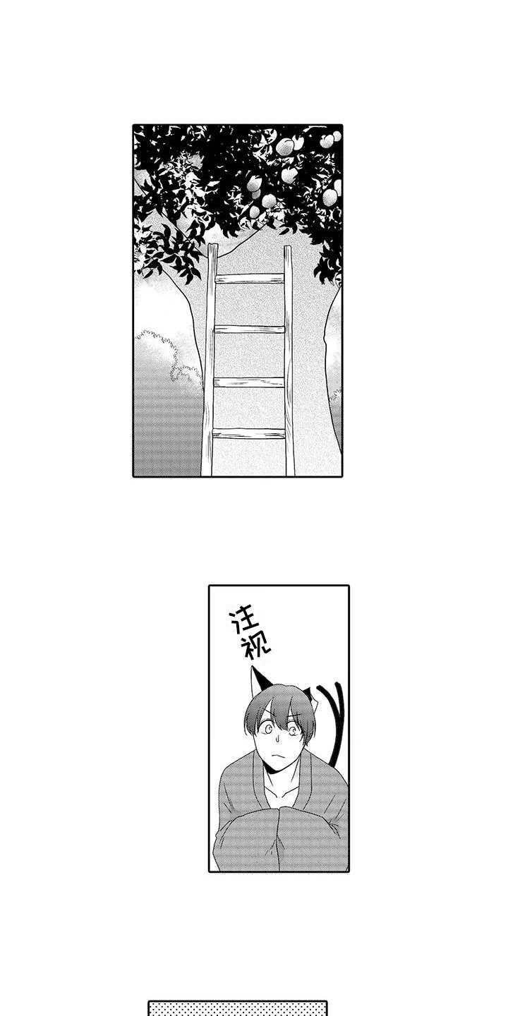 第5章：梯子13