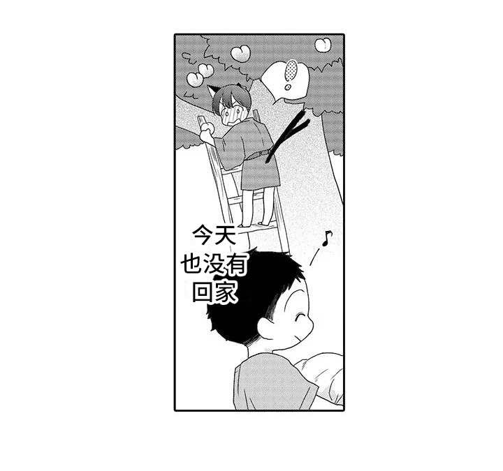 第5章：梯子15