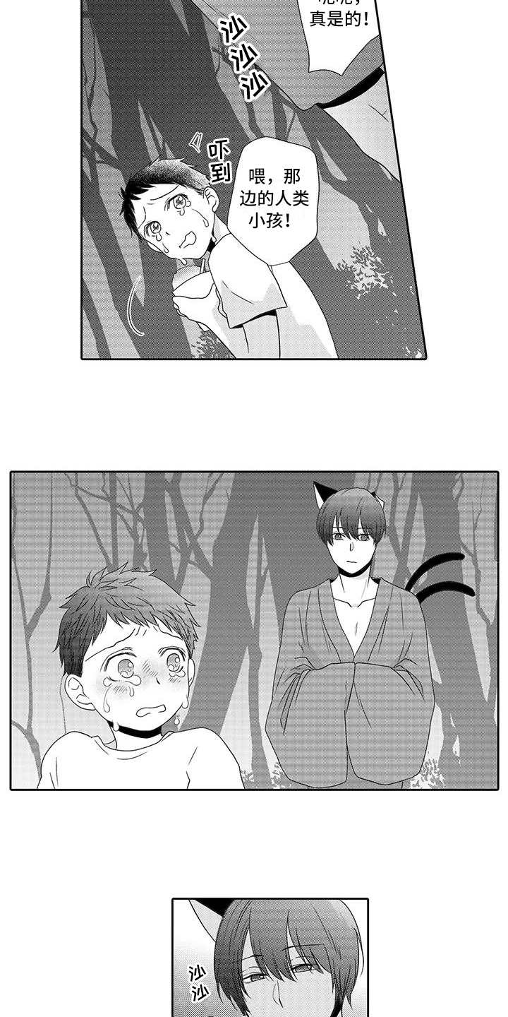 第12章：曾经见过12