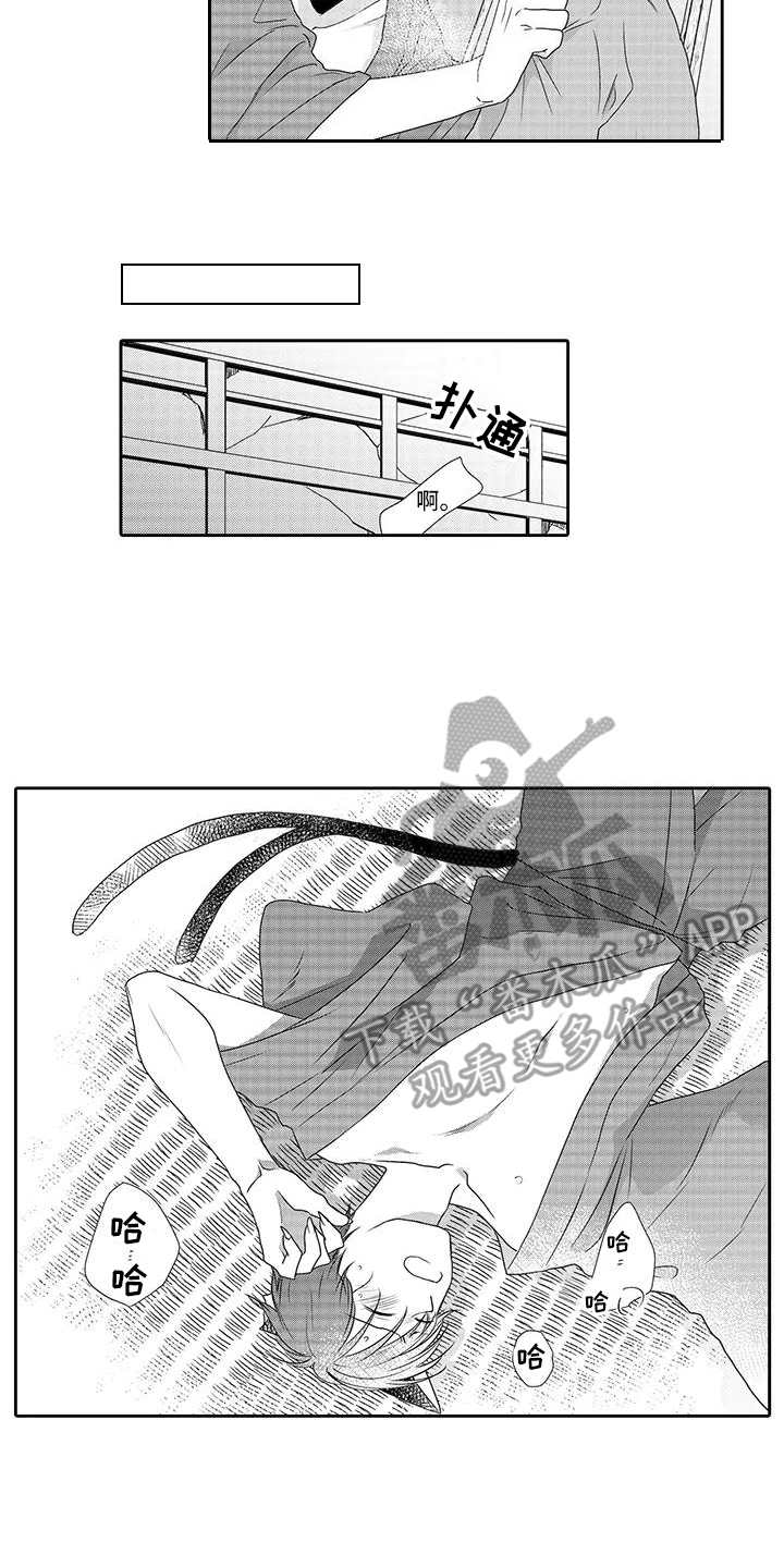 第5章：梯子5