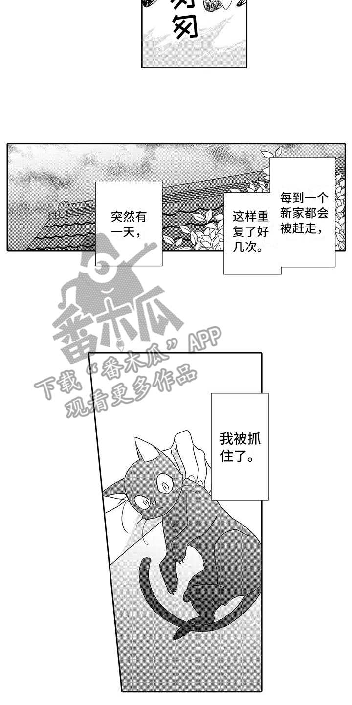 第4章：心情奇怪4