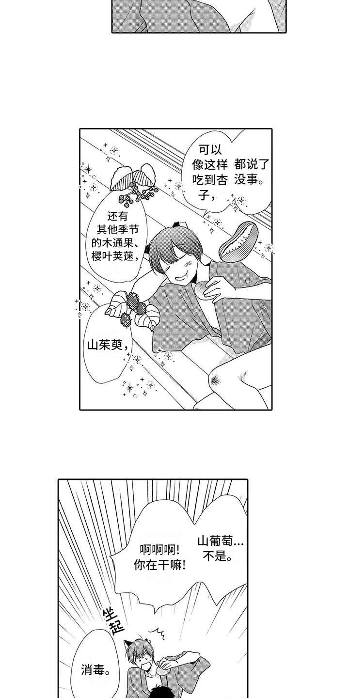 第3章：摘果子12