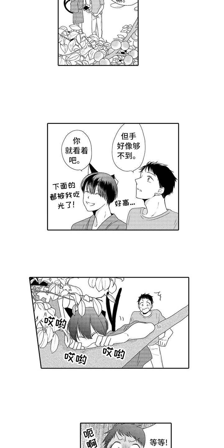 第3章：摘果子8