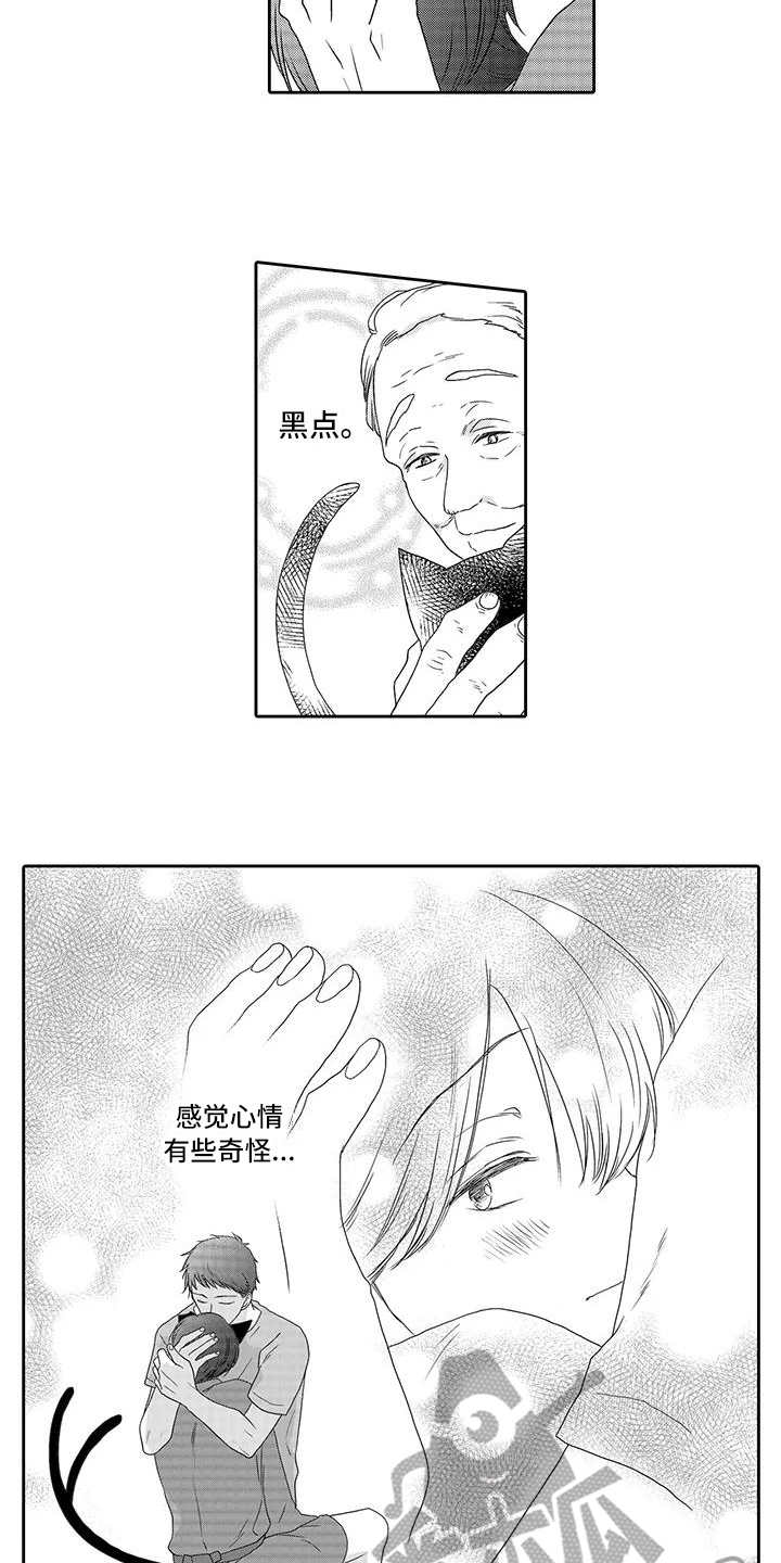 第4章：心情奇怪12