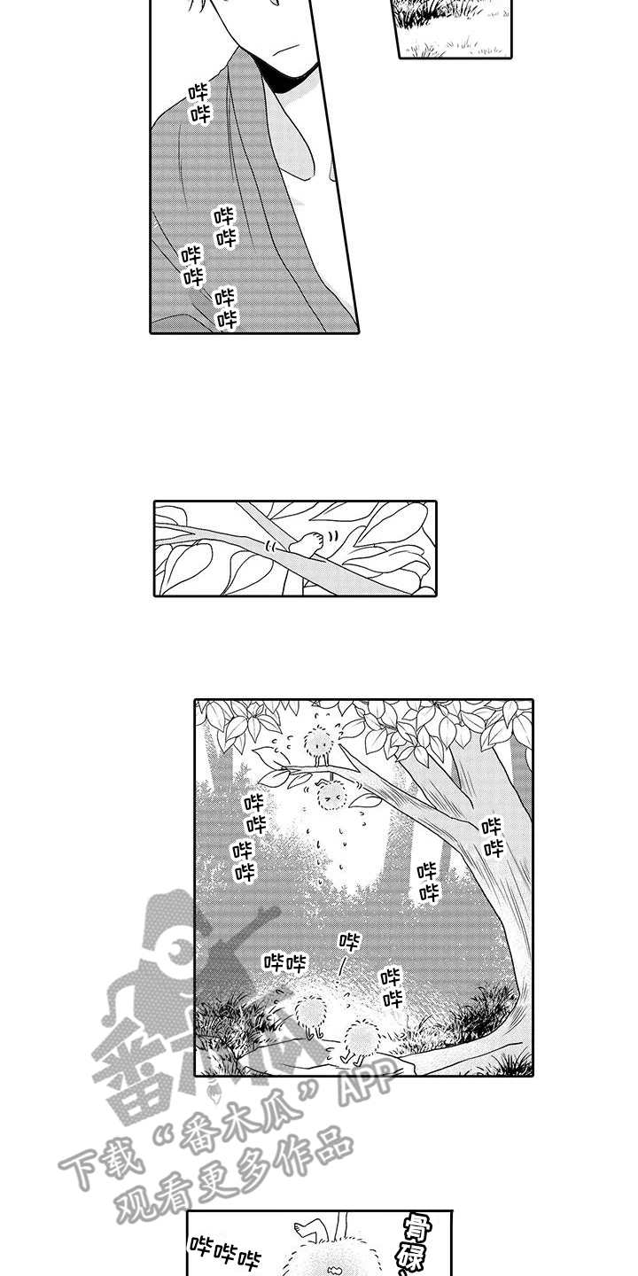 第7章：小精灵10
