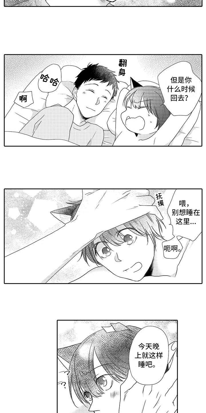 第9章：安心2