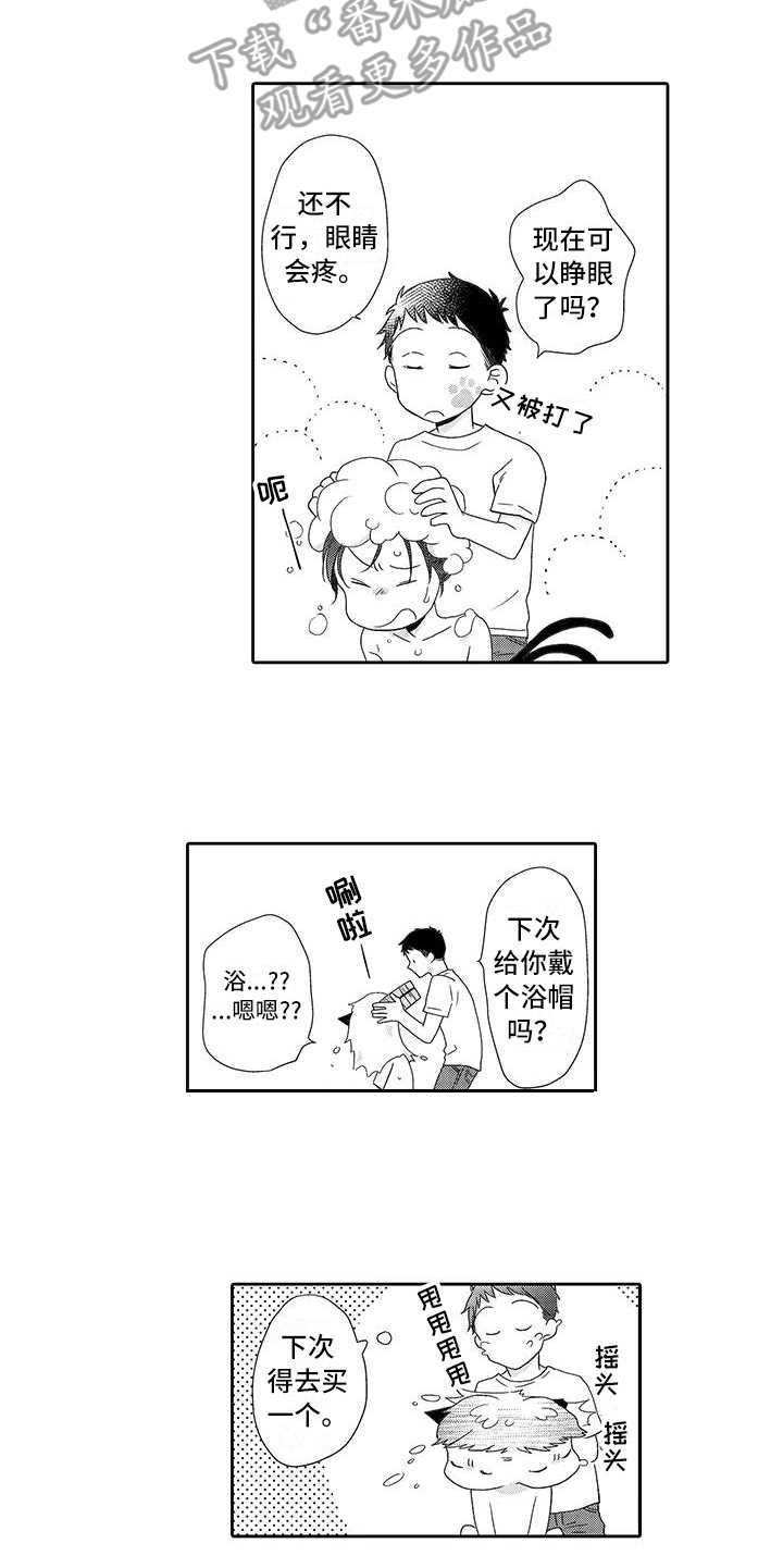 第6章：照顾11