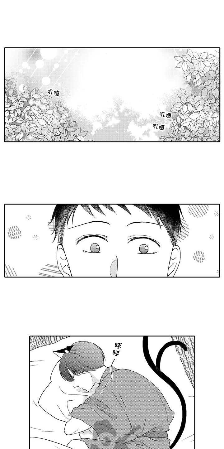 第6章：照顾0
